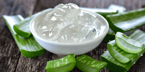 How To Use And Jelq with Aloe Vera For Male Enhancement Zen